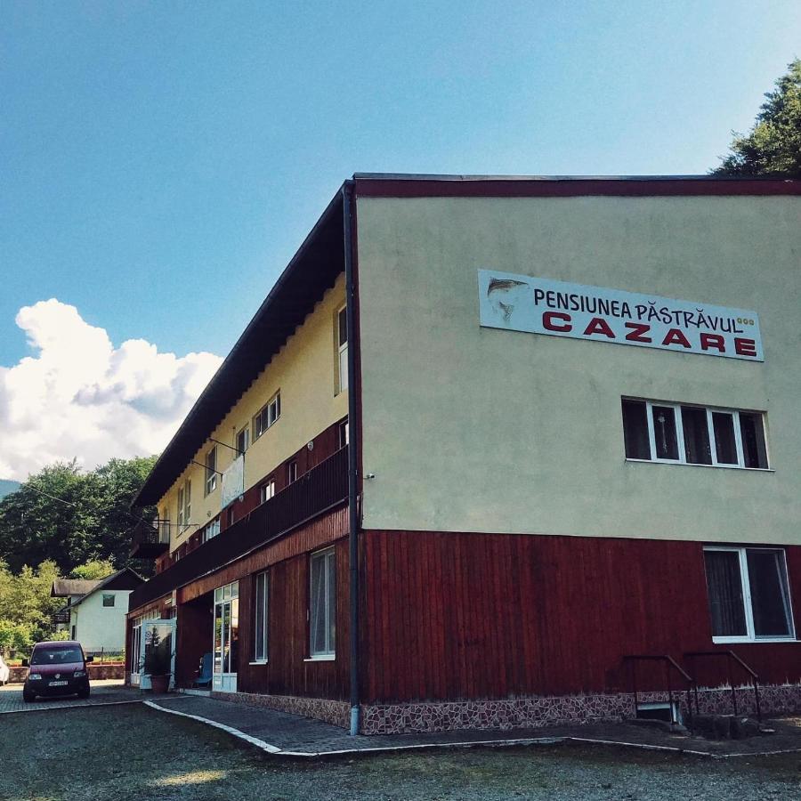 Pensiunea Pastravul Ξενοδοχείο Cîrţişoara Εξωτερικό φωτογραφία