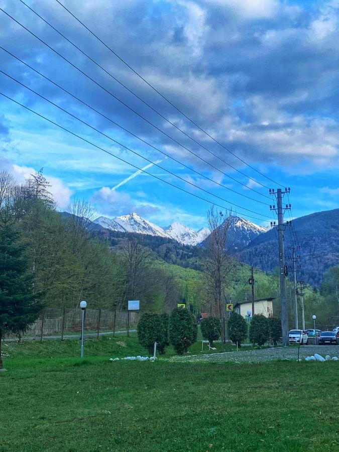 Pensiunea Pastravul Ξενοδοχείο Cîrţişoara Εξωτερικό φωτογραφία